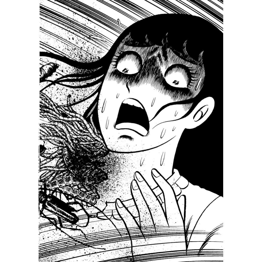 Insetti Infernali - immagine 8