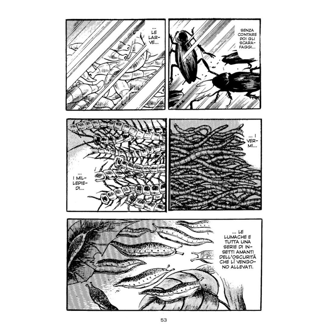 Insetti Infernali - immagine 10
