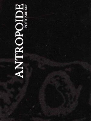 Antropoide n.5 Postcard