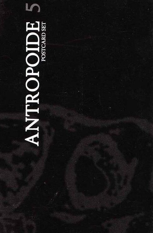 Antropoide n.5 Postcard