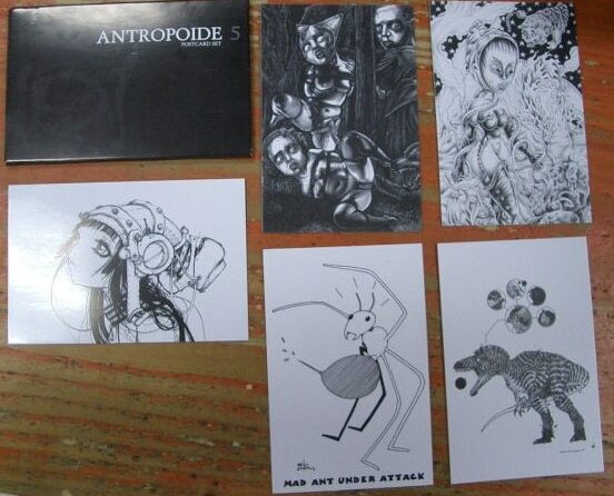 Antropoide n.5 Postcard - immagine 2
